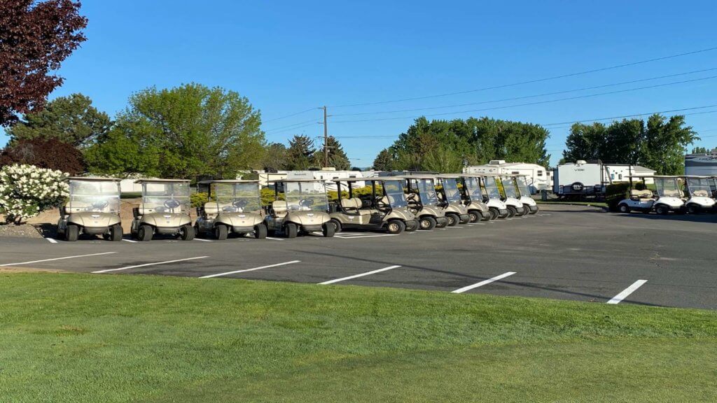 Row of golf carts parked near clubhouse on sunny day.