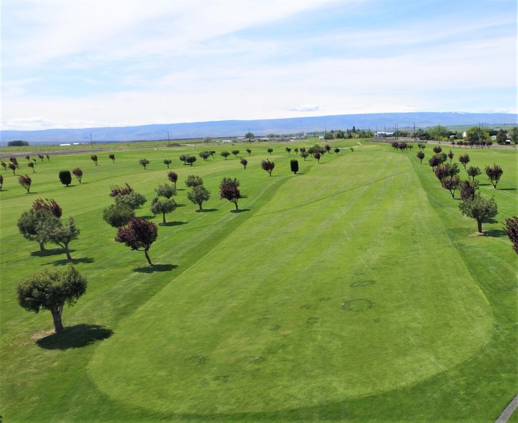 Wide fairway with rows of trees and distant hills under blue sky.