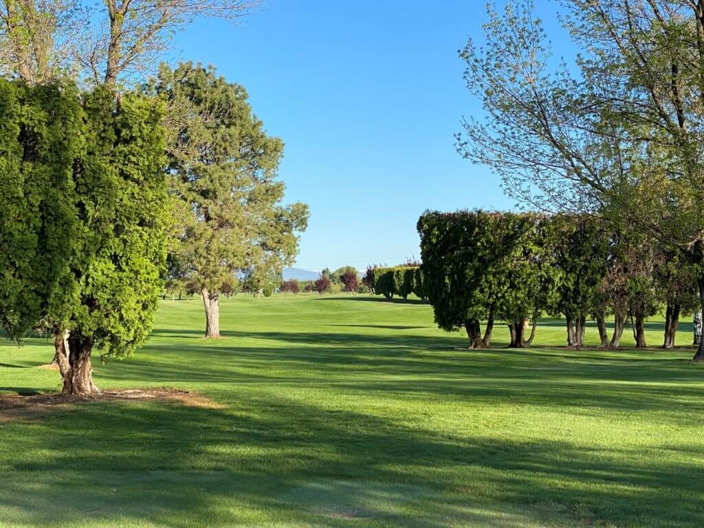 Green fairway lined with trees and blue sky above.